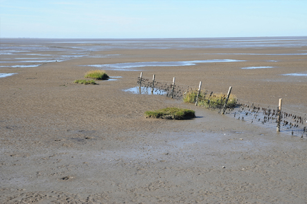 Greetsiel und Umgebung