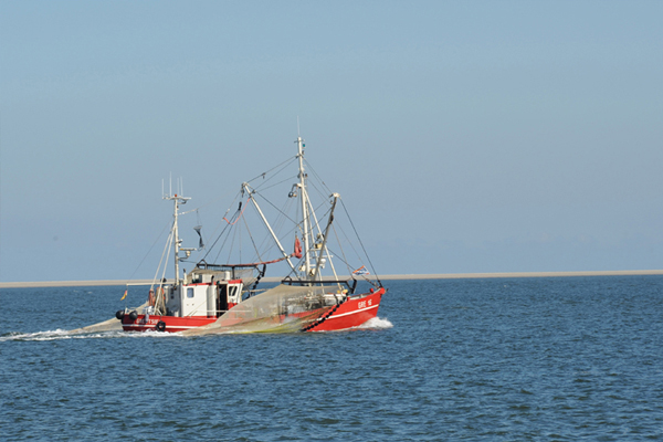 Greetsiel und Umgebung